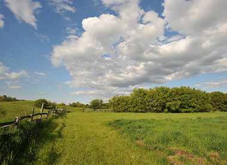 2CaledonHorseFarm