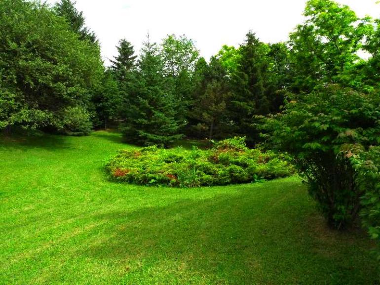 2caledonAcerListingsPhoto