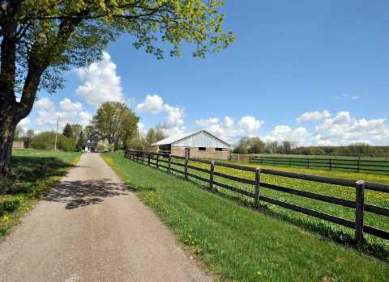 Very Rare Caledon Listing