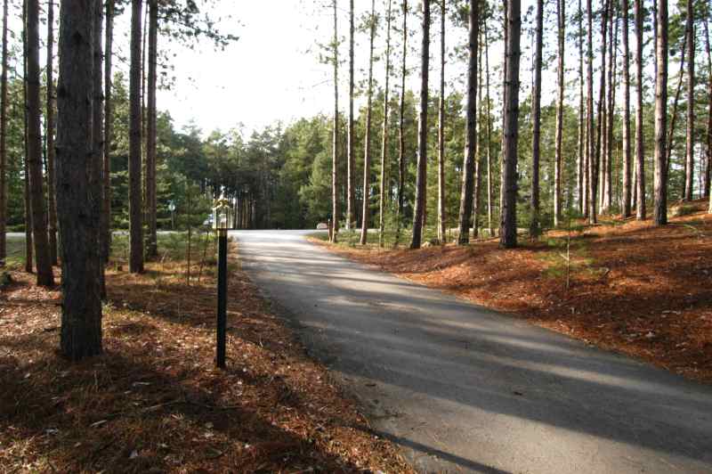 Private Tree Lined Driveway Entrance Tree Lined Drive Entrance