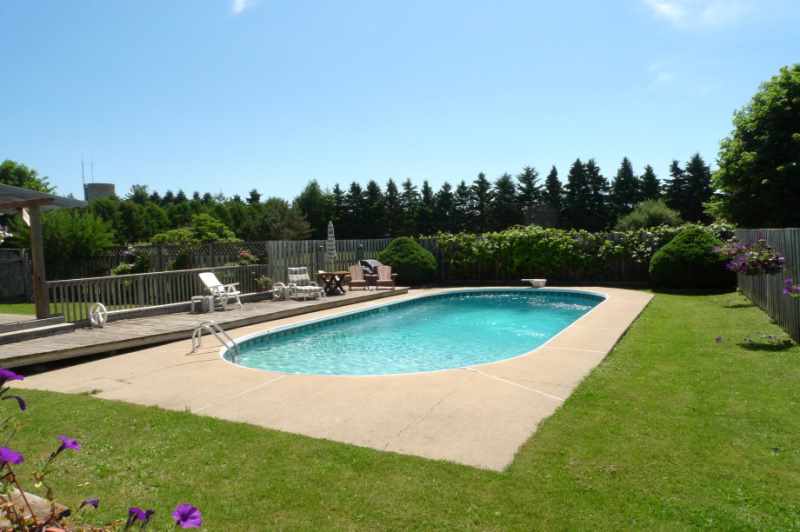 Dog House, Enclosed Dog Run, Fenced Yard, Garden, Privacy