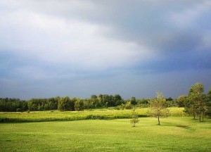 Amaranth, 10 Acres, Pond, Storm