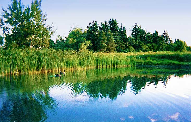 pond, 10 Acres, Orangeville, Amaranth