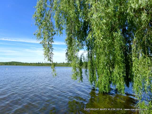 NEW PRICE! Caledon Lake Cottage - NEEDS FINISHING!