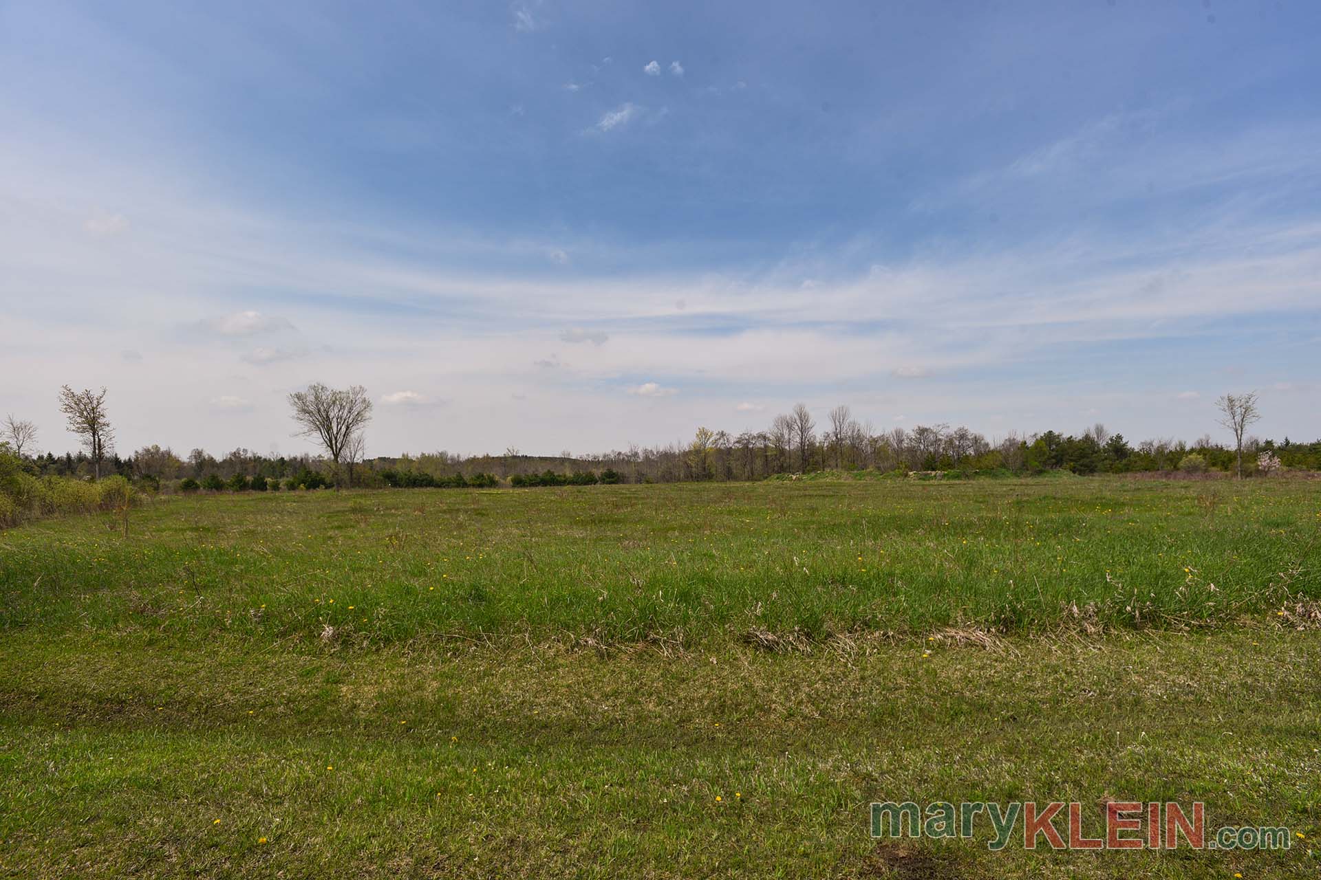 Acreage, For Sale, Caledon, Kennedy Road