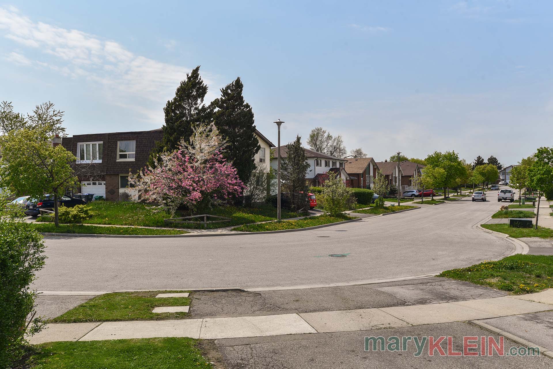 View of Street, Merton