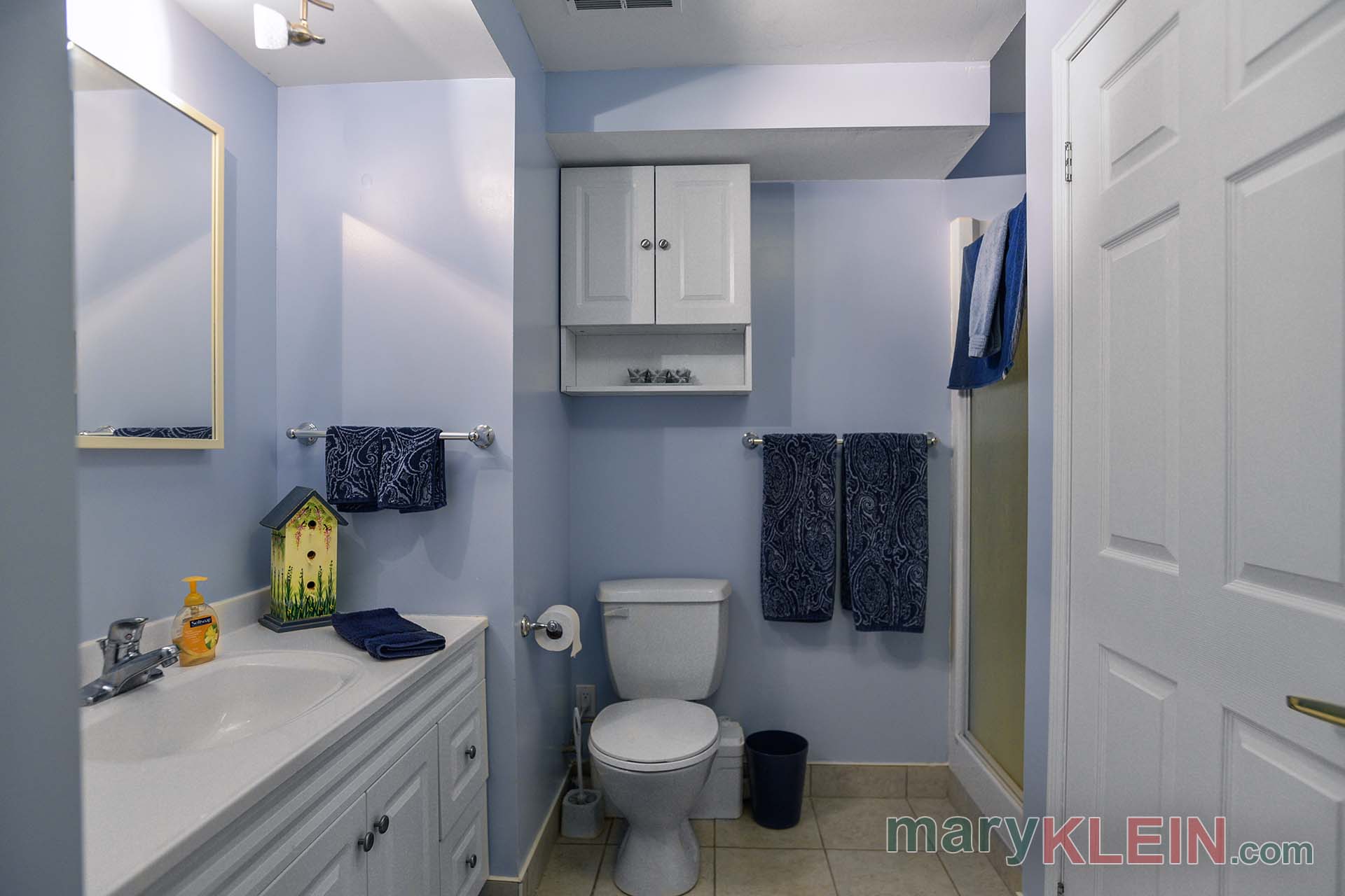 lower level bathroom 