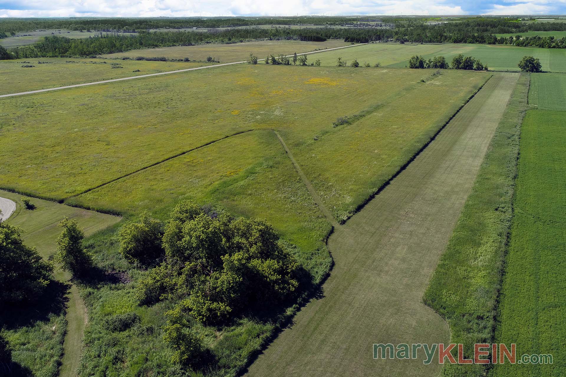 Airstrip, For Sale, North of Brampton 