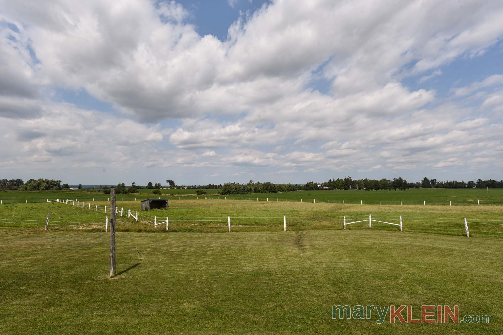 Fenced Paddocks