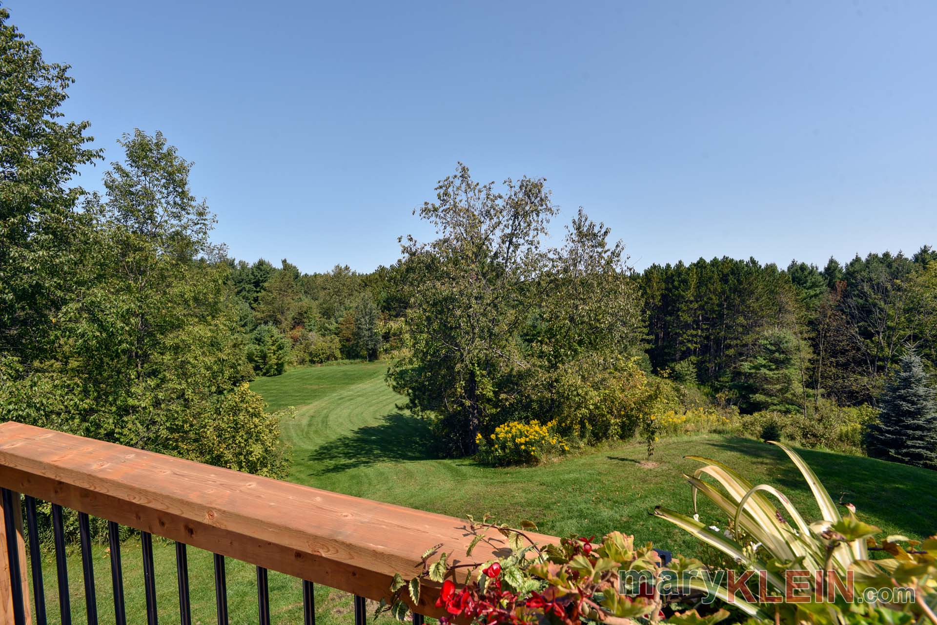 Mature Grounds, Deck View