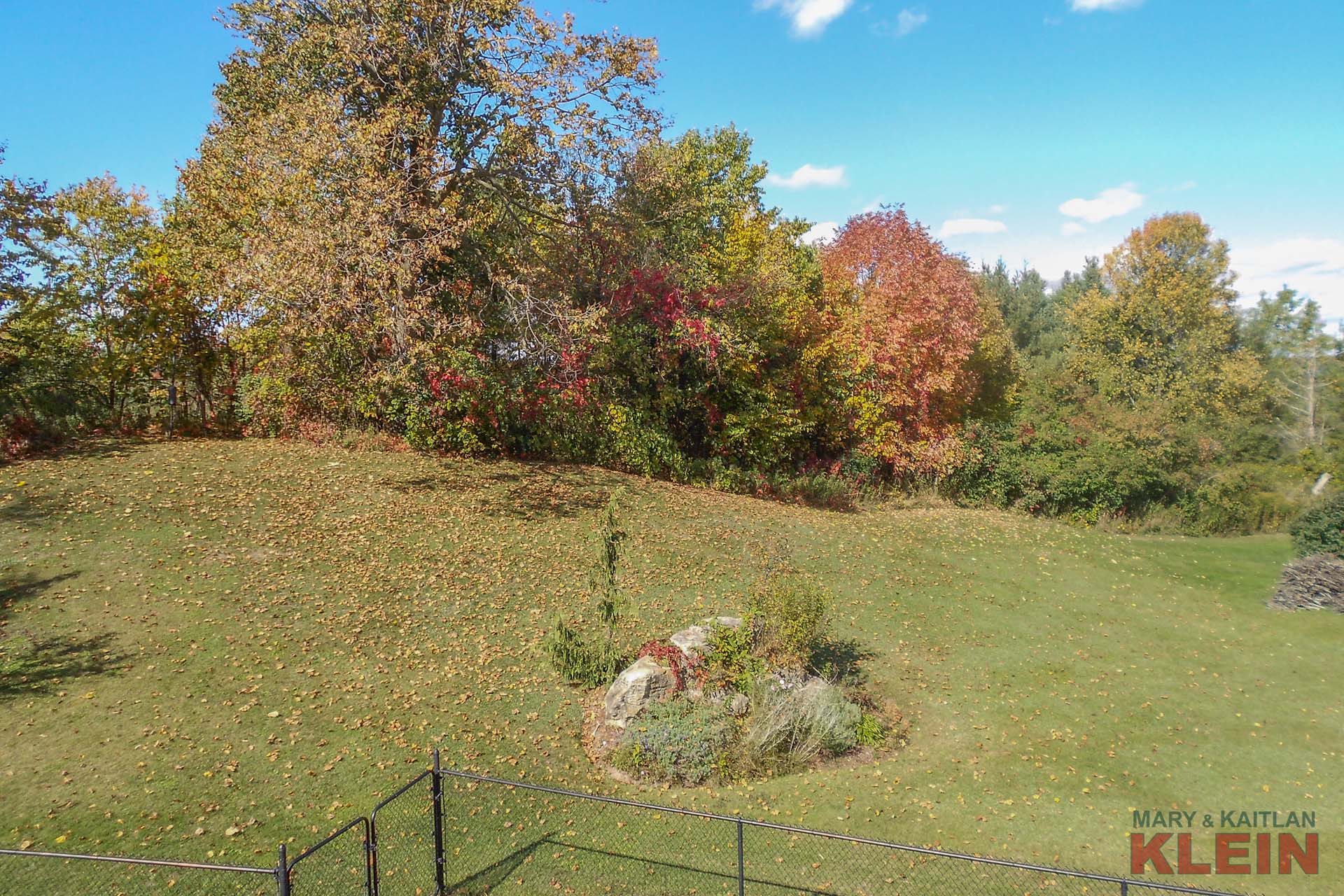 Views of the Backyard