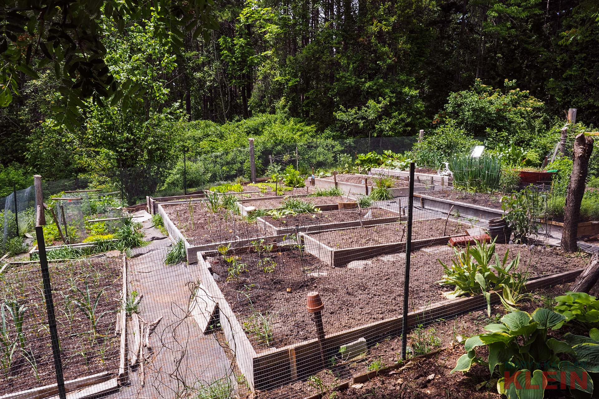 Vegetable Garden 