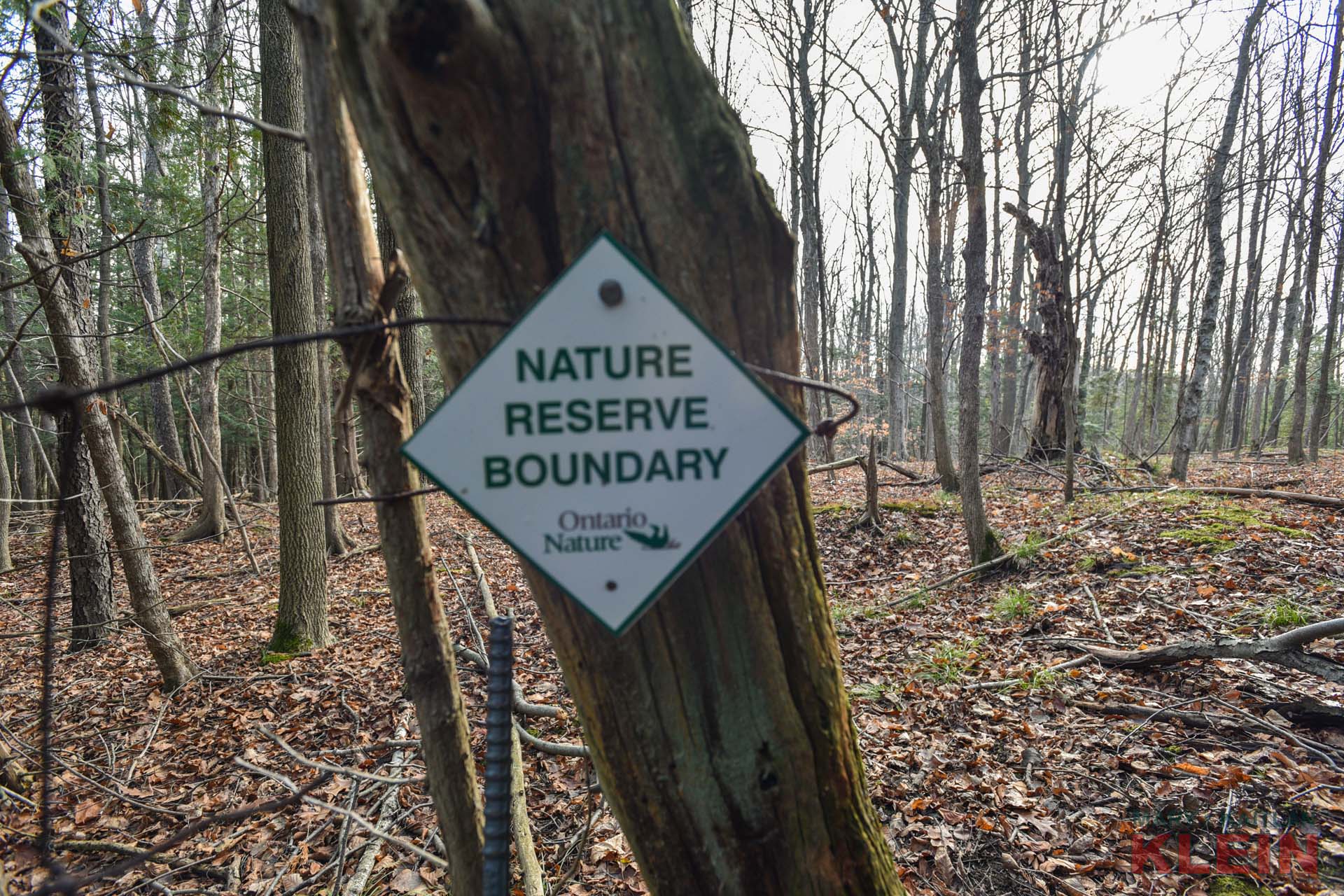 Ontario Nature Reserve Boundary 