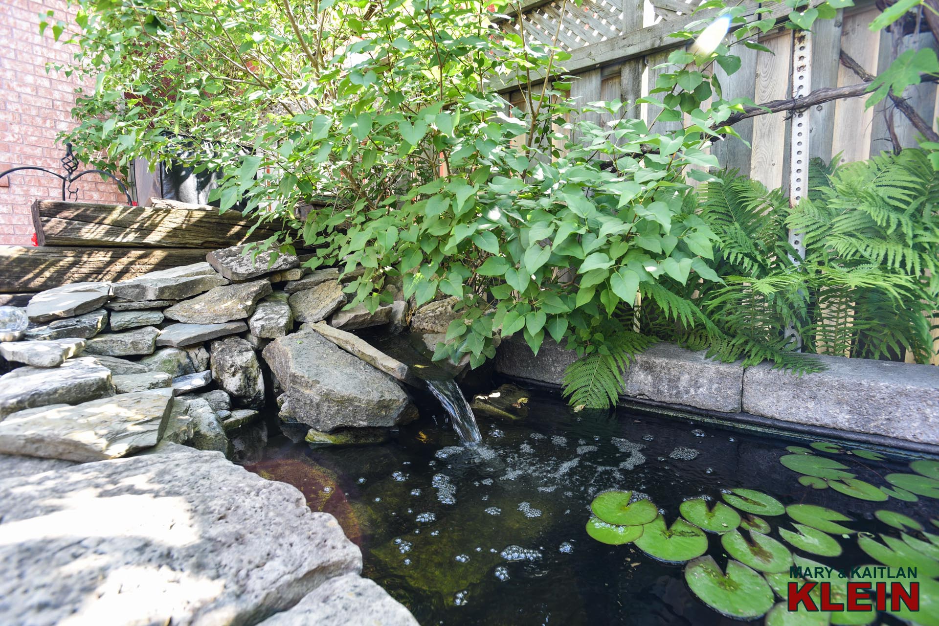 Ornamental Pond