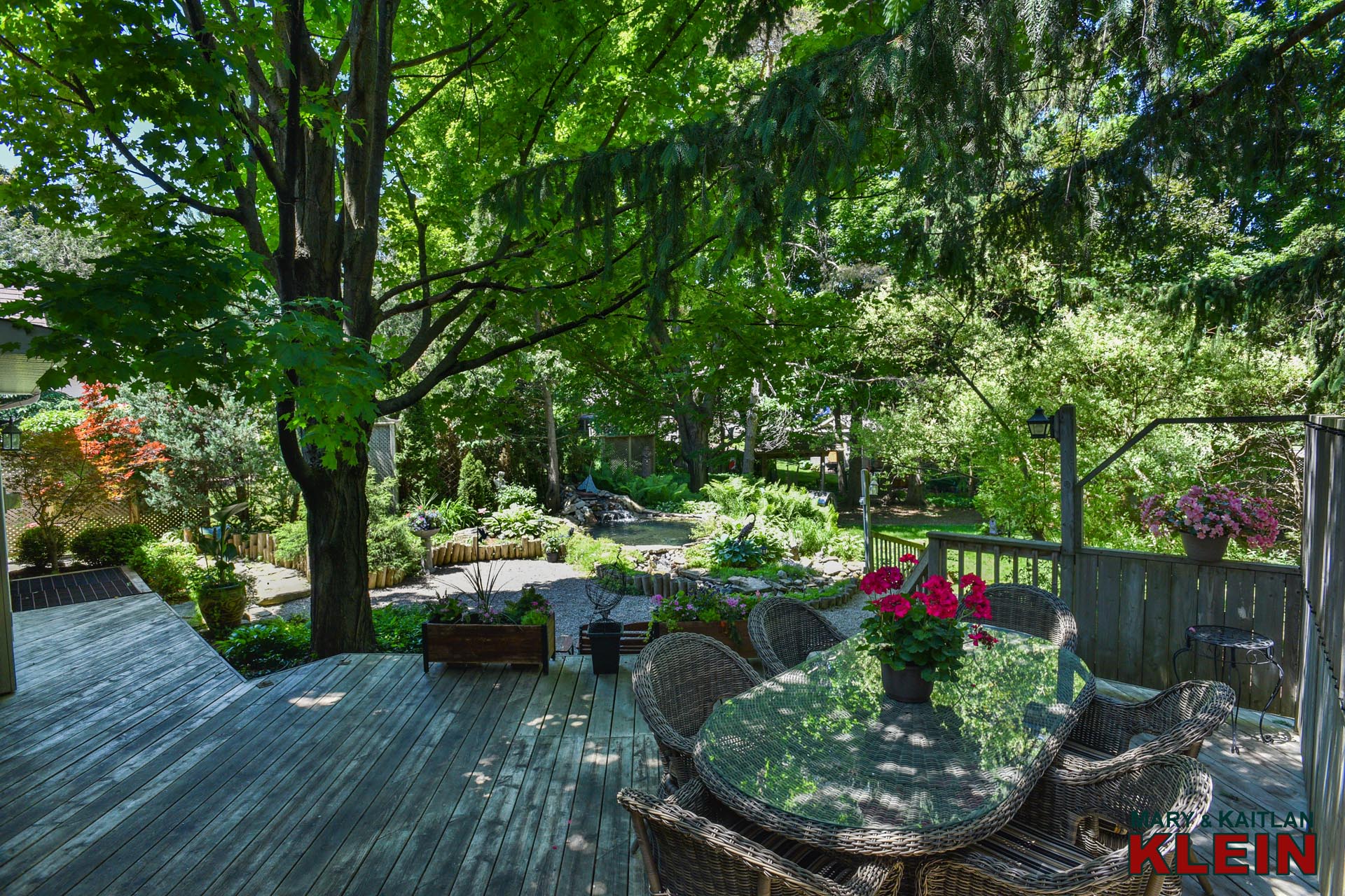 Back deck Views