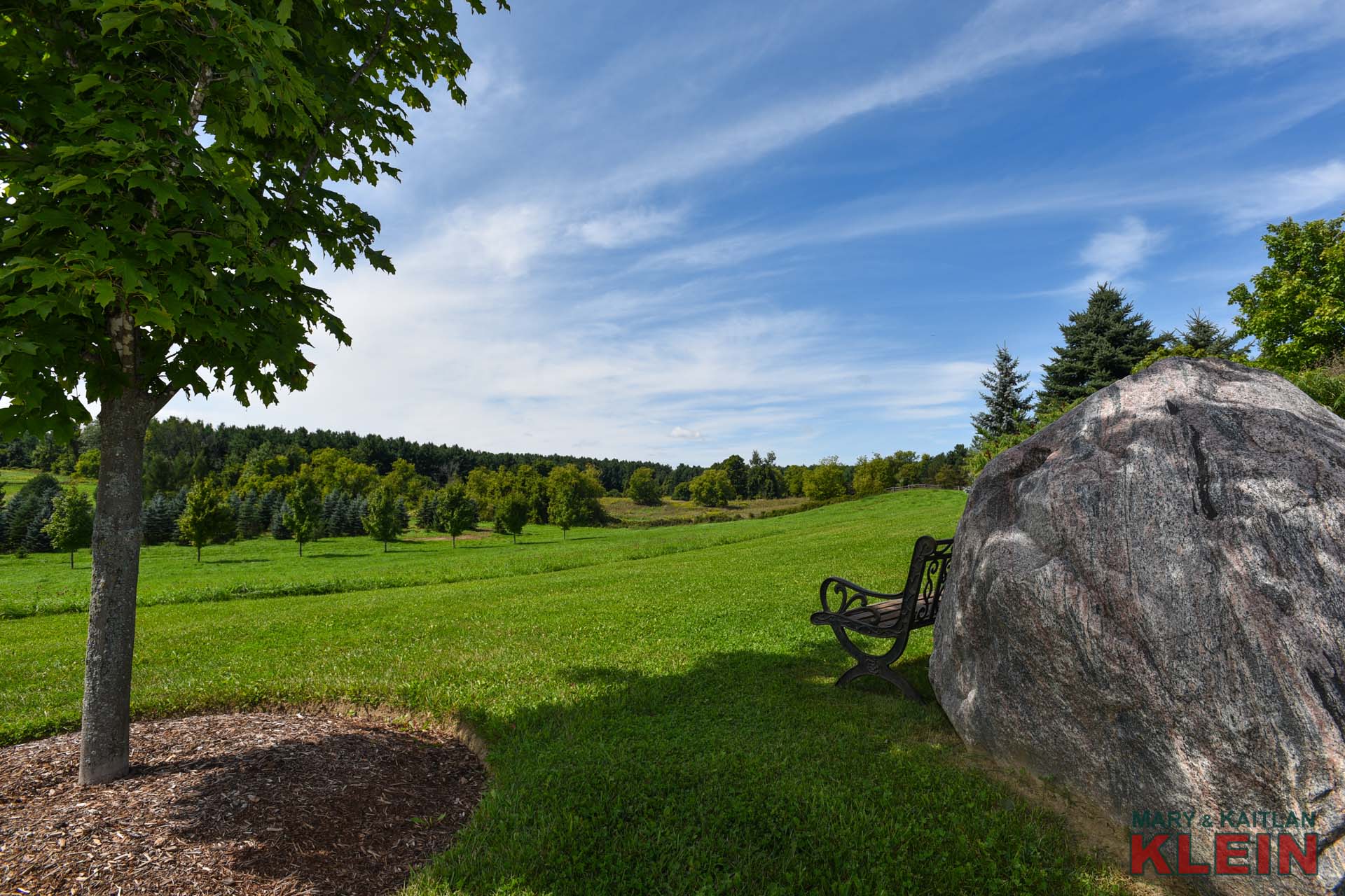 Bench, Park-like Setting 