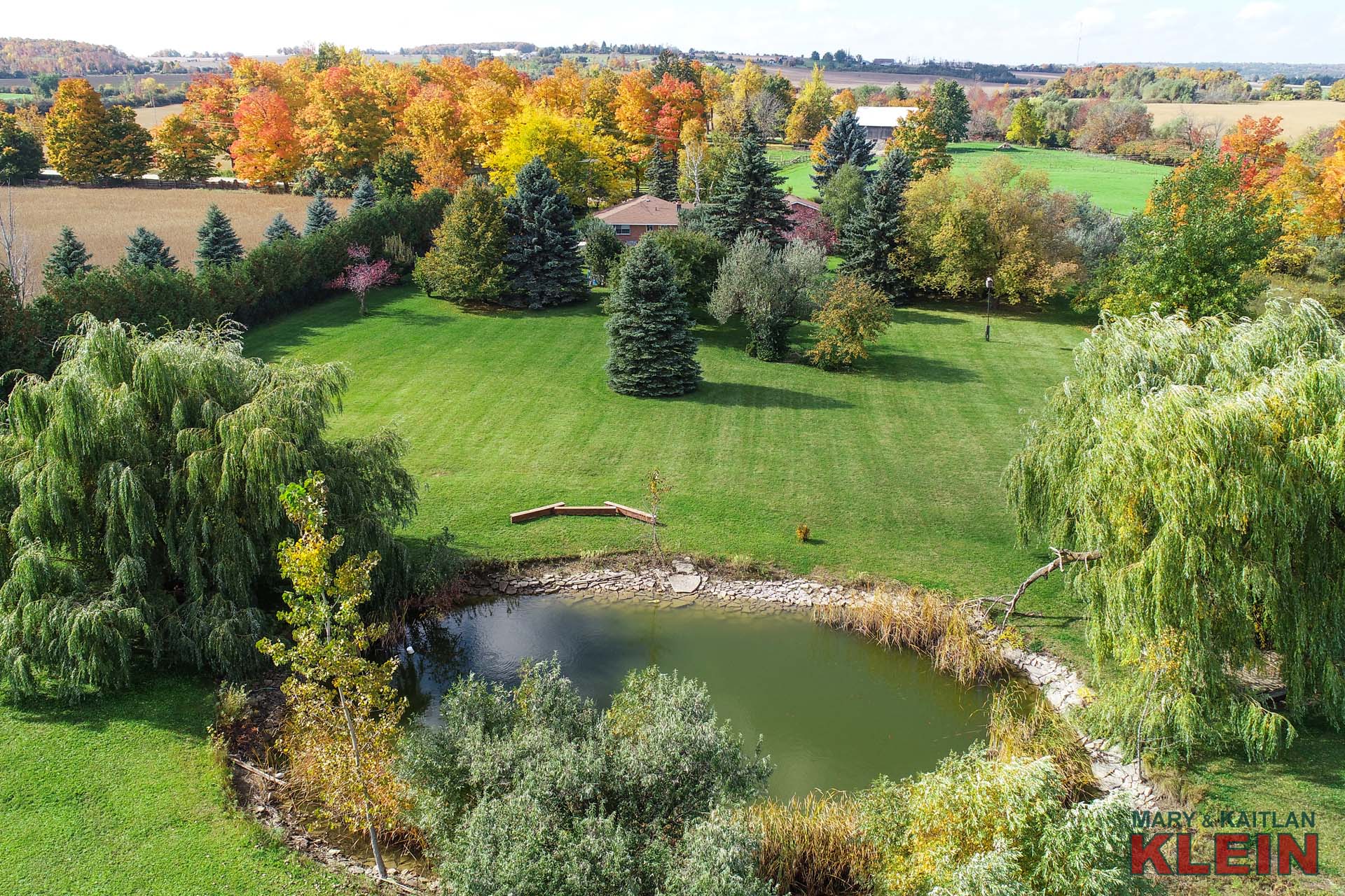 Pond, Goldfish, Willow Trees