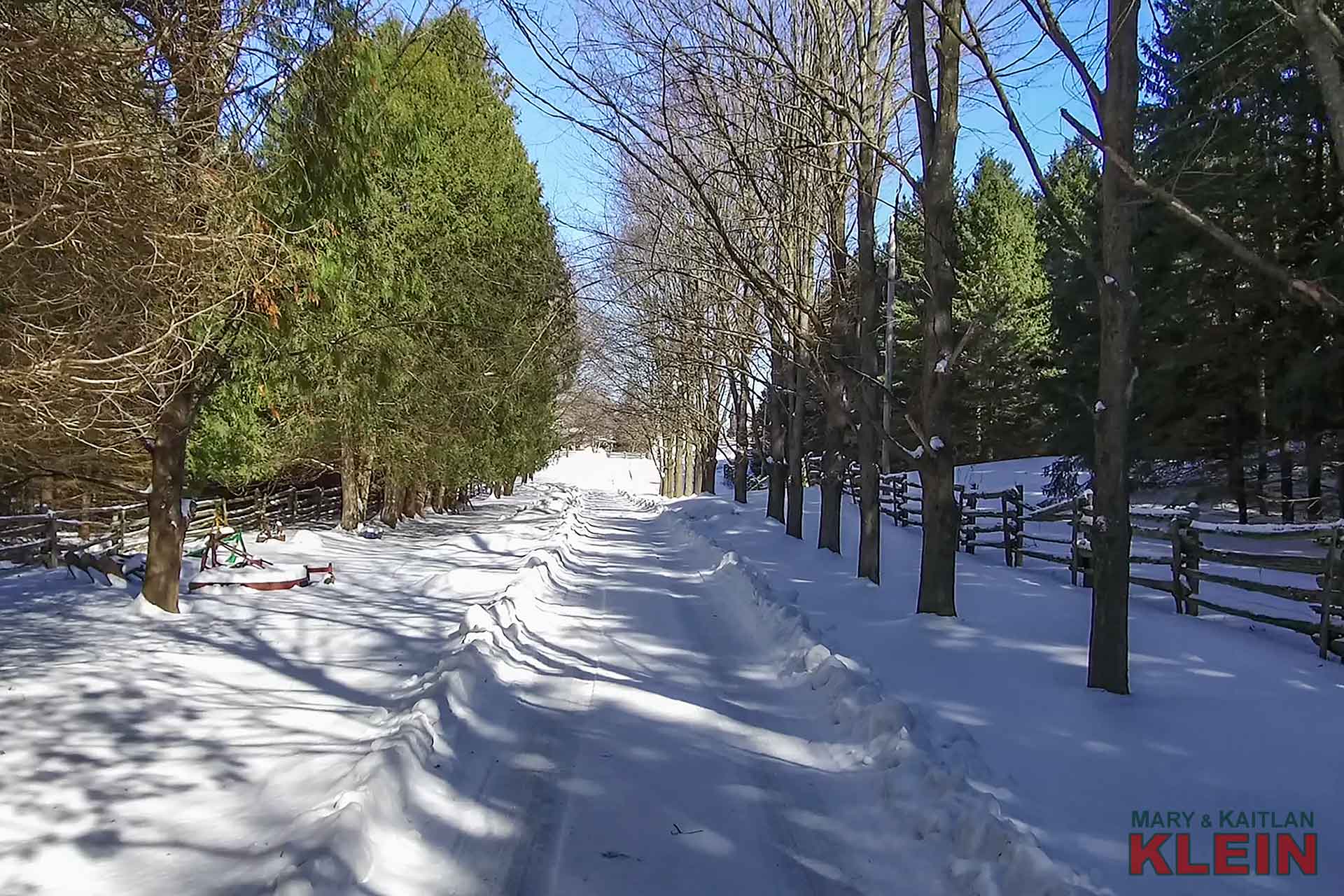 Private tree lined driveway