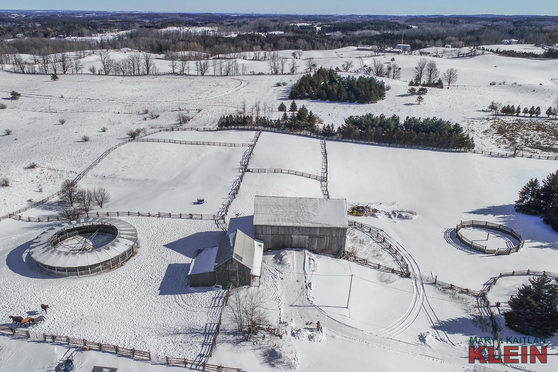 horse, hobby farm, caledon, country living, home for sale, northwest of toronto, klein