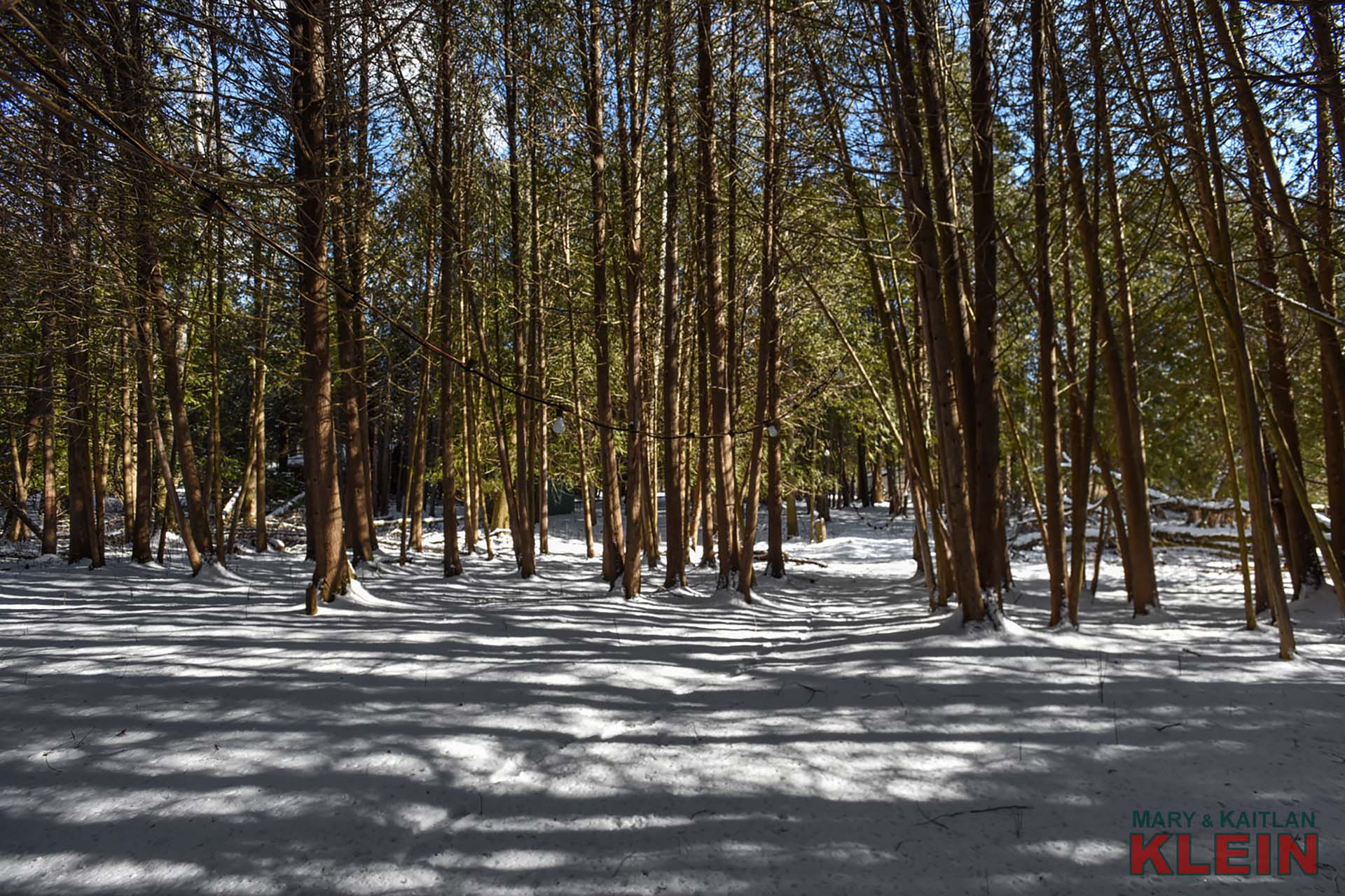 Trails to Back of Property 