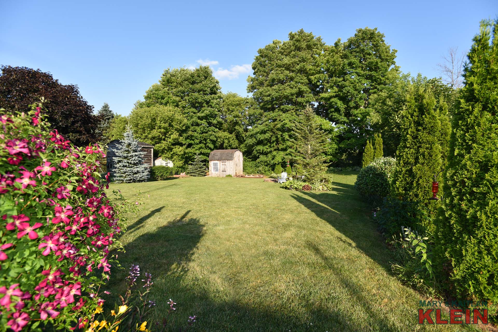 Mature, Fenced Backyard