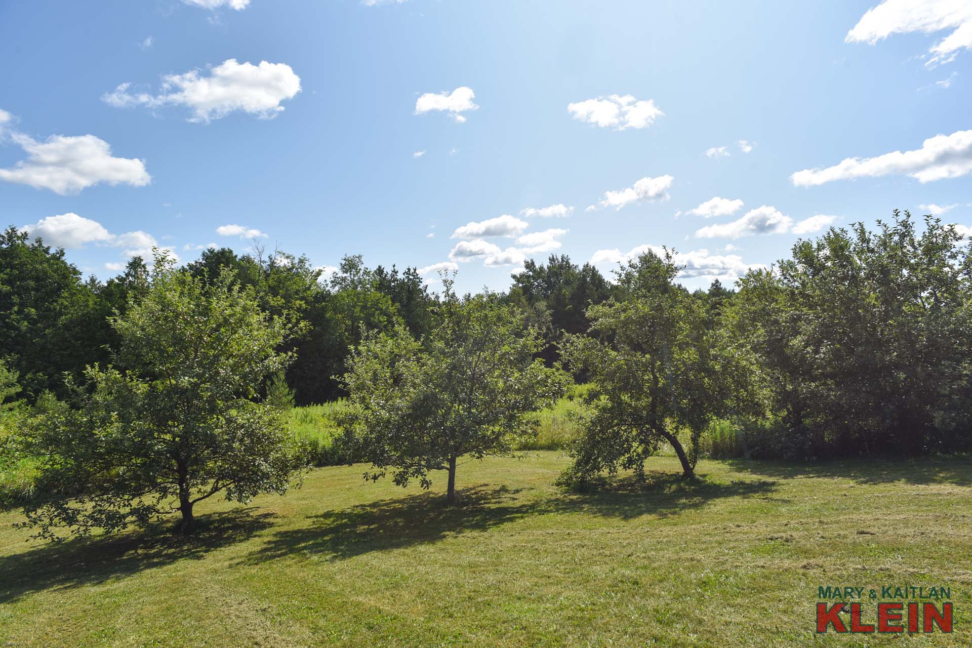 Apple Trees