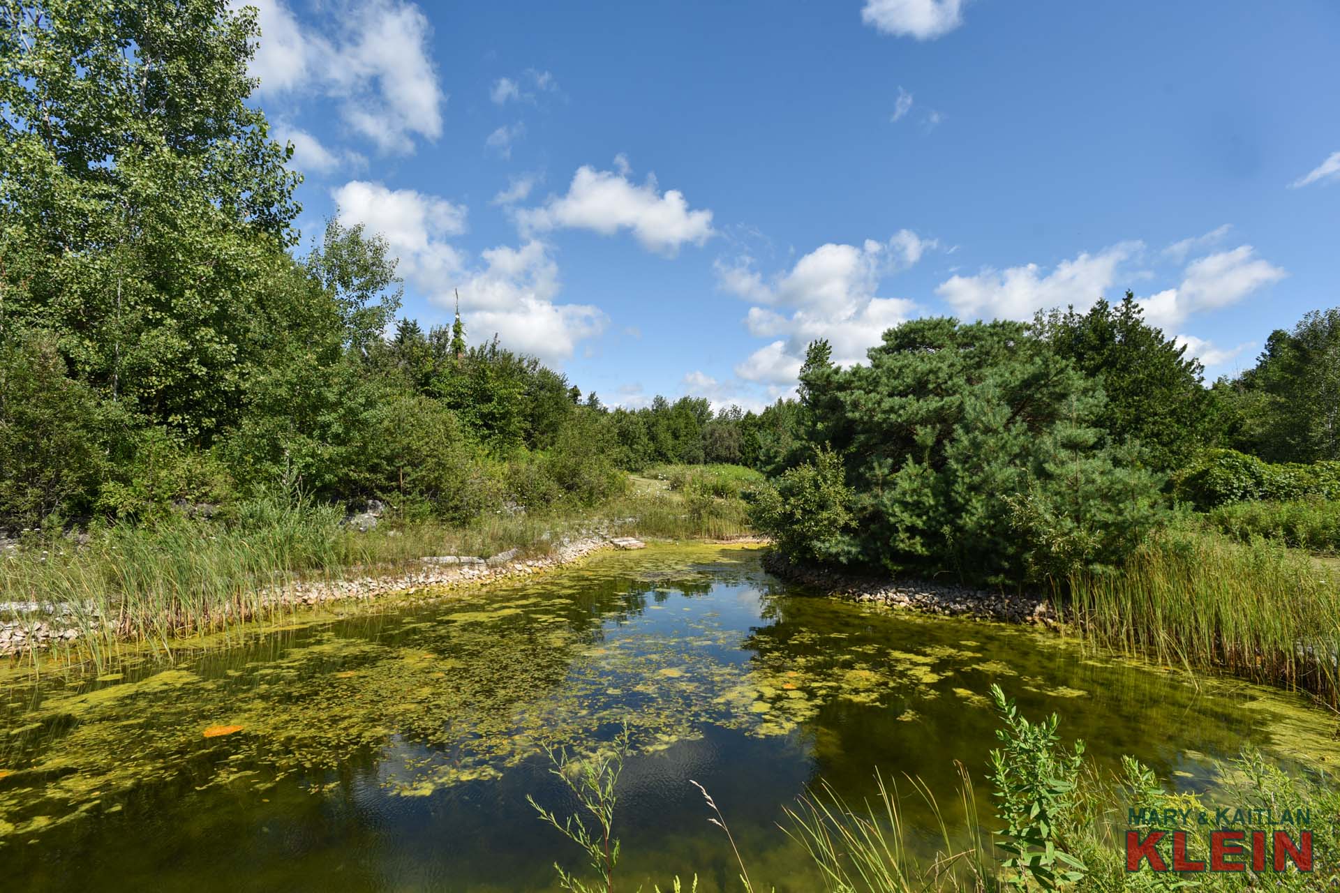 Pond