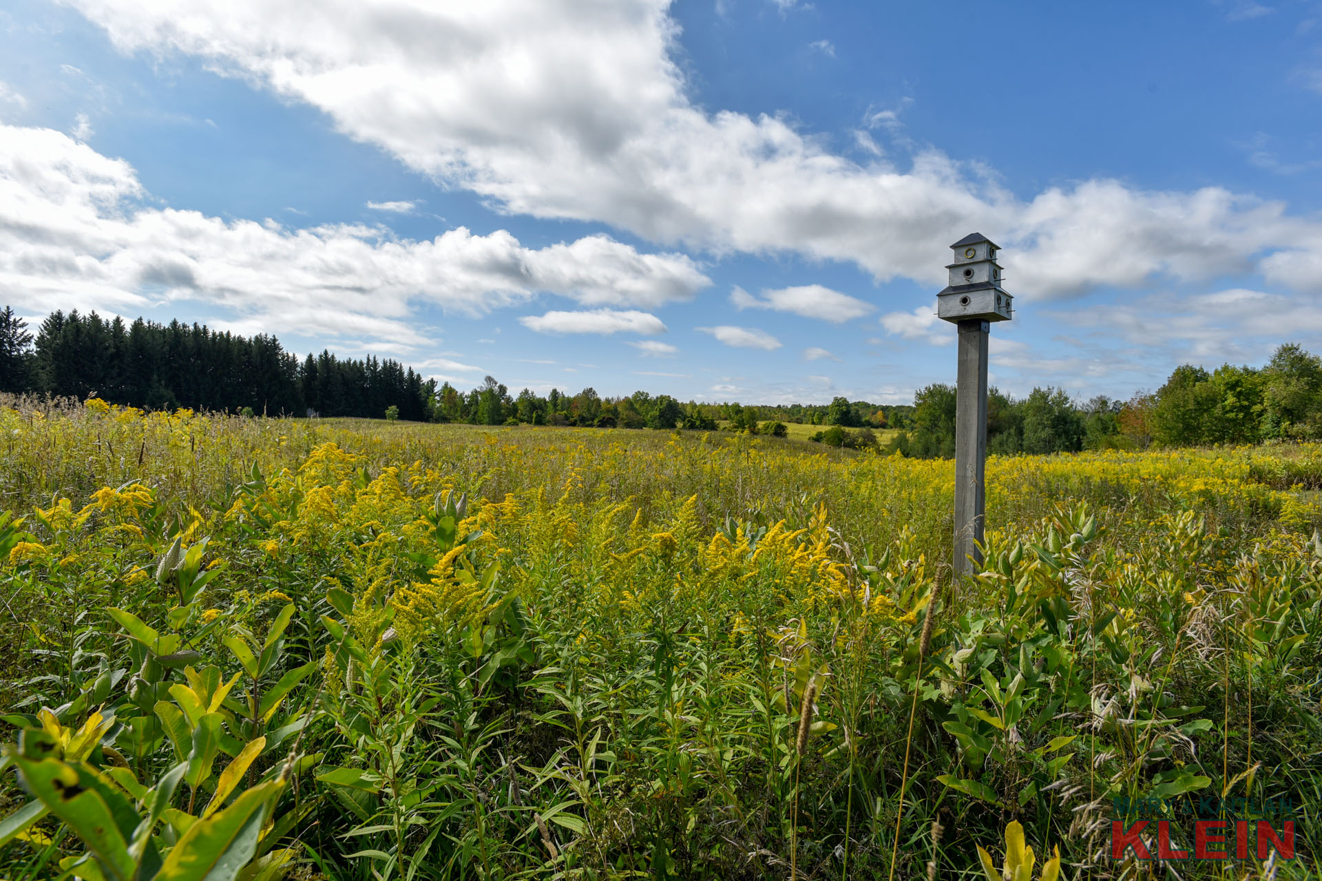 30 Acres in Caledon, Country Property For Sale, Klein