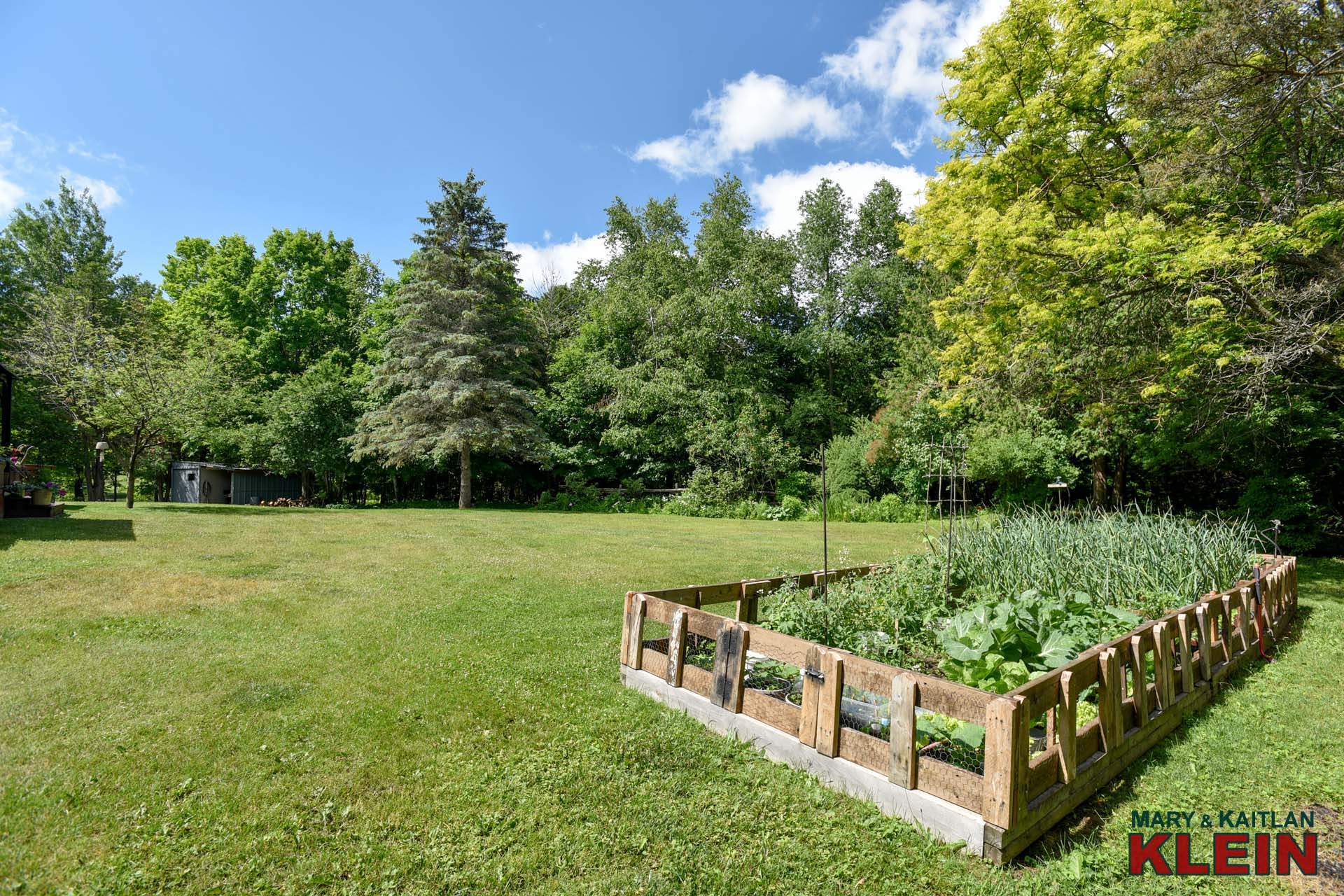 Veggie Garden