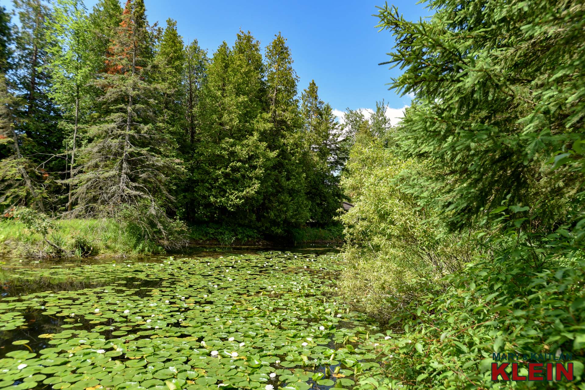 Shared Pond