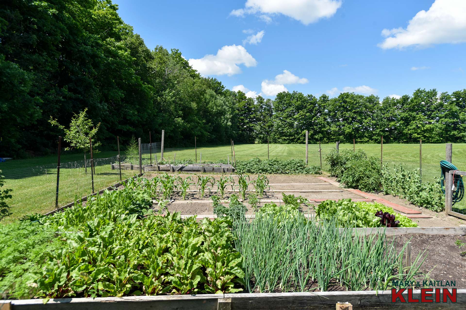 Vegetable Garden 