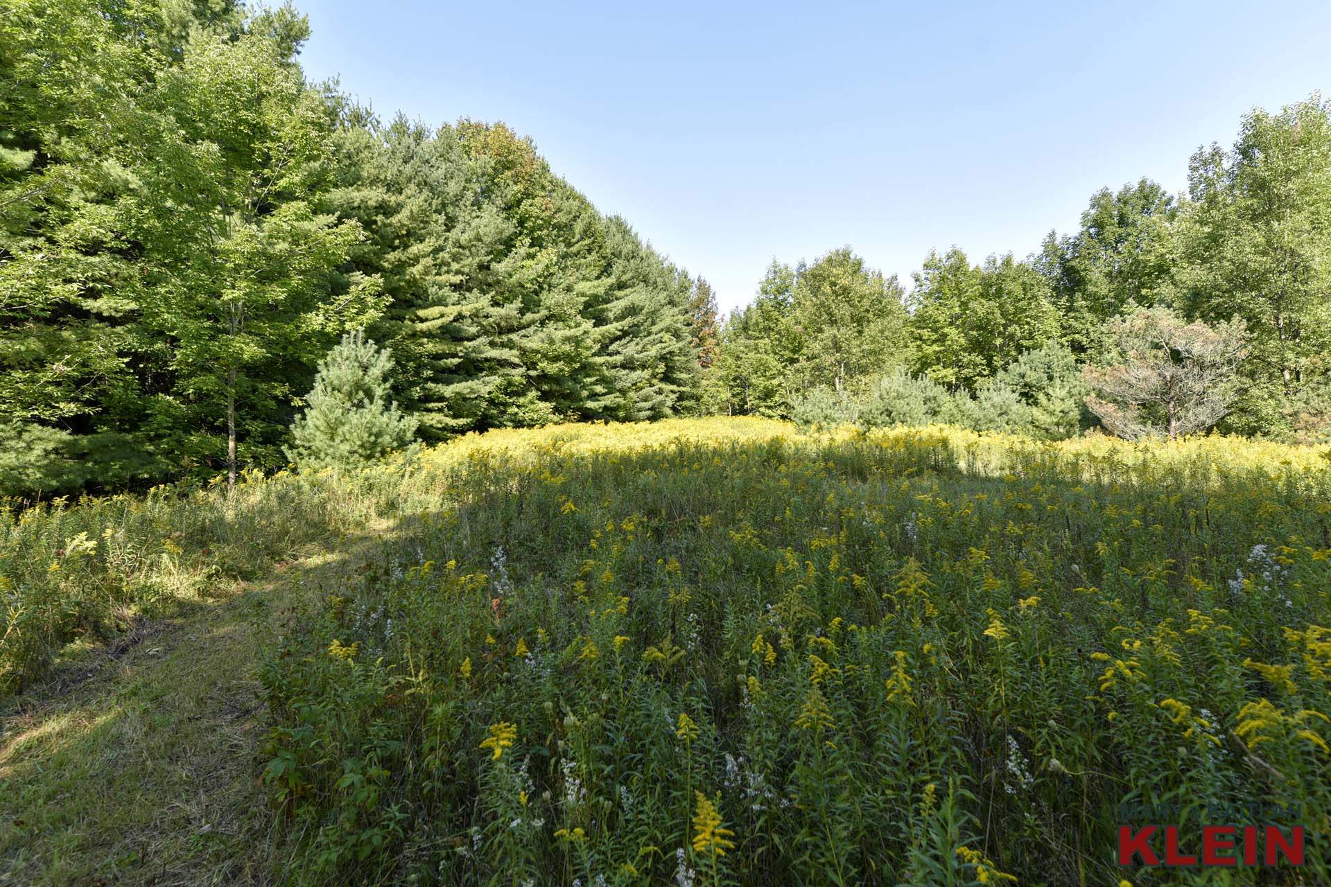 Mulmur, Ontario, vacant land for sale, 33 acres, klein