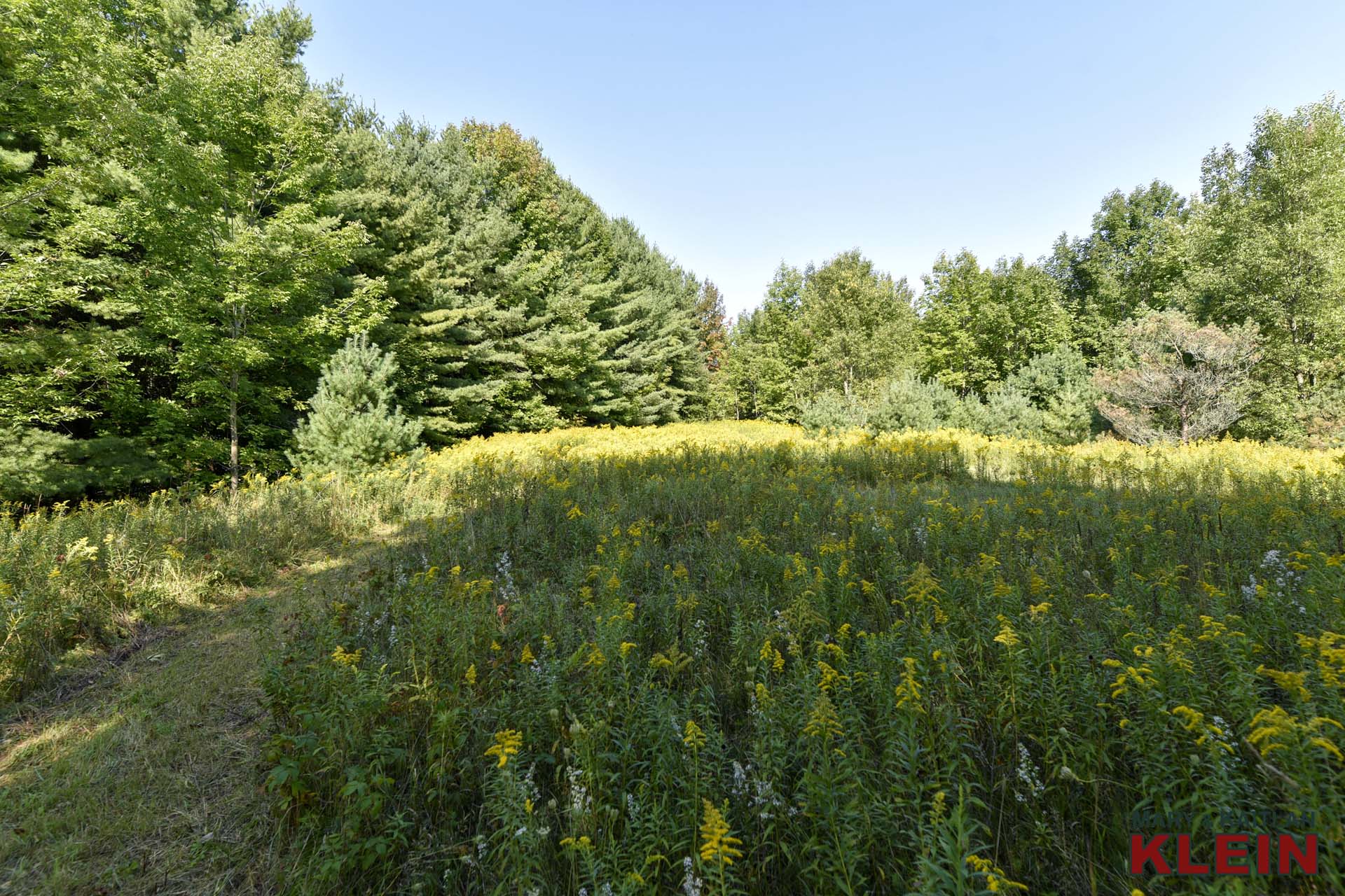 Mulmur, Ontario, vacant land for sale, 33 acres, klein