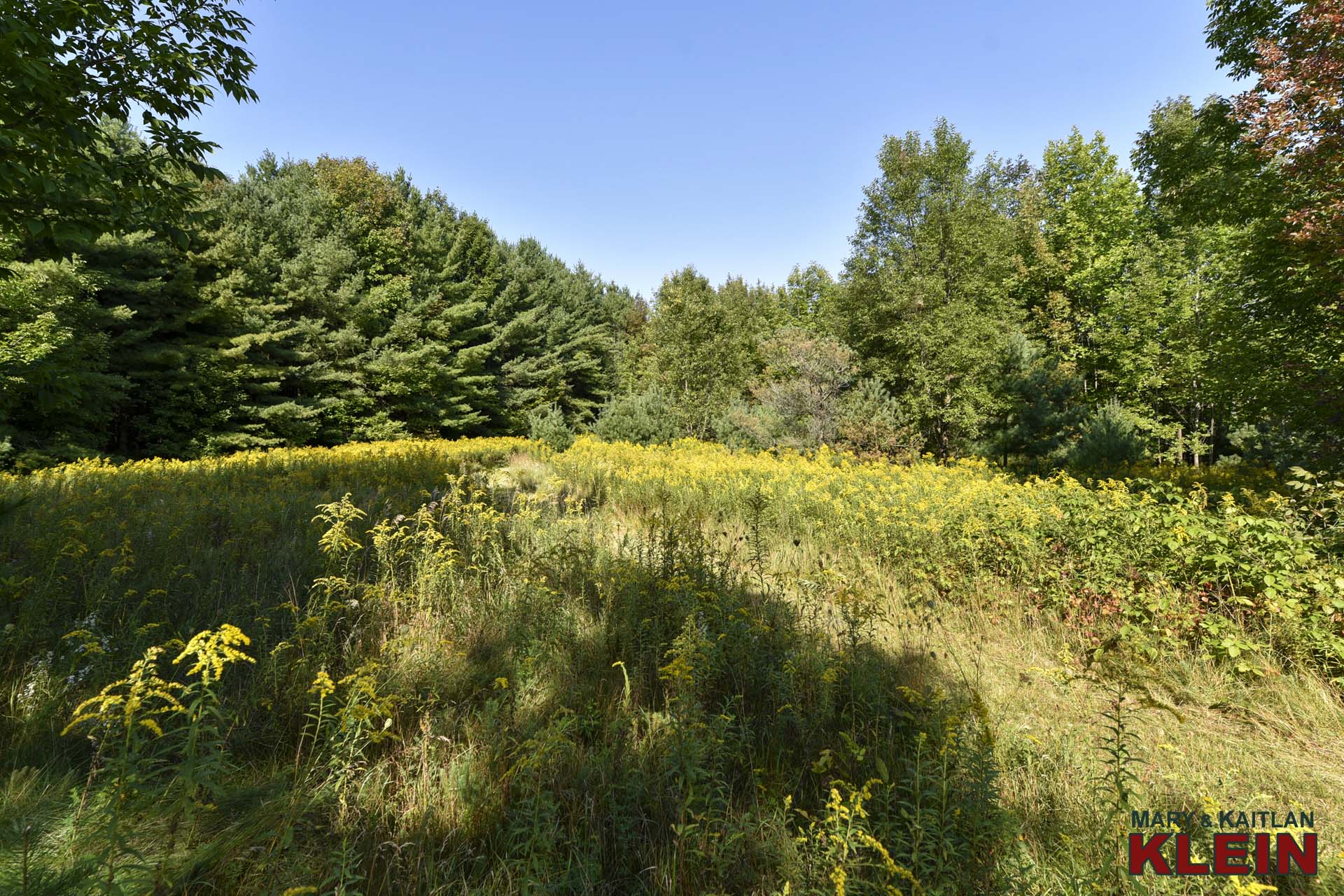 Toward the Back of the property 