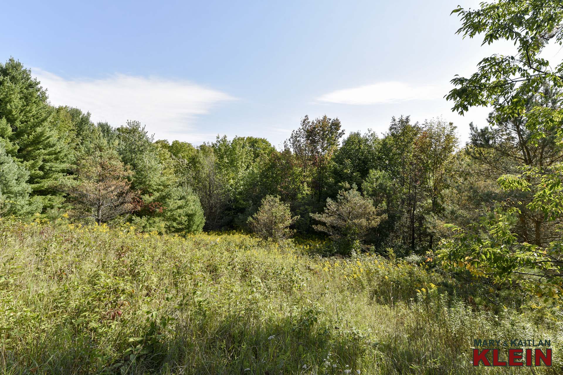 Mature trees and setting, Mulmur, ON