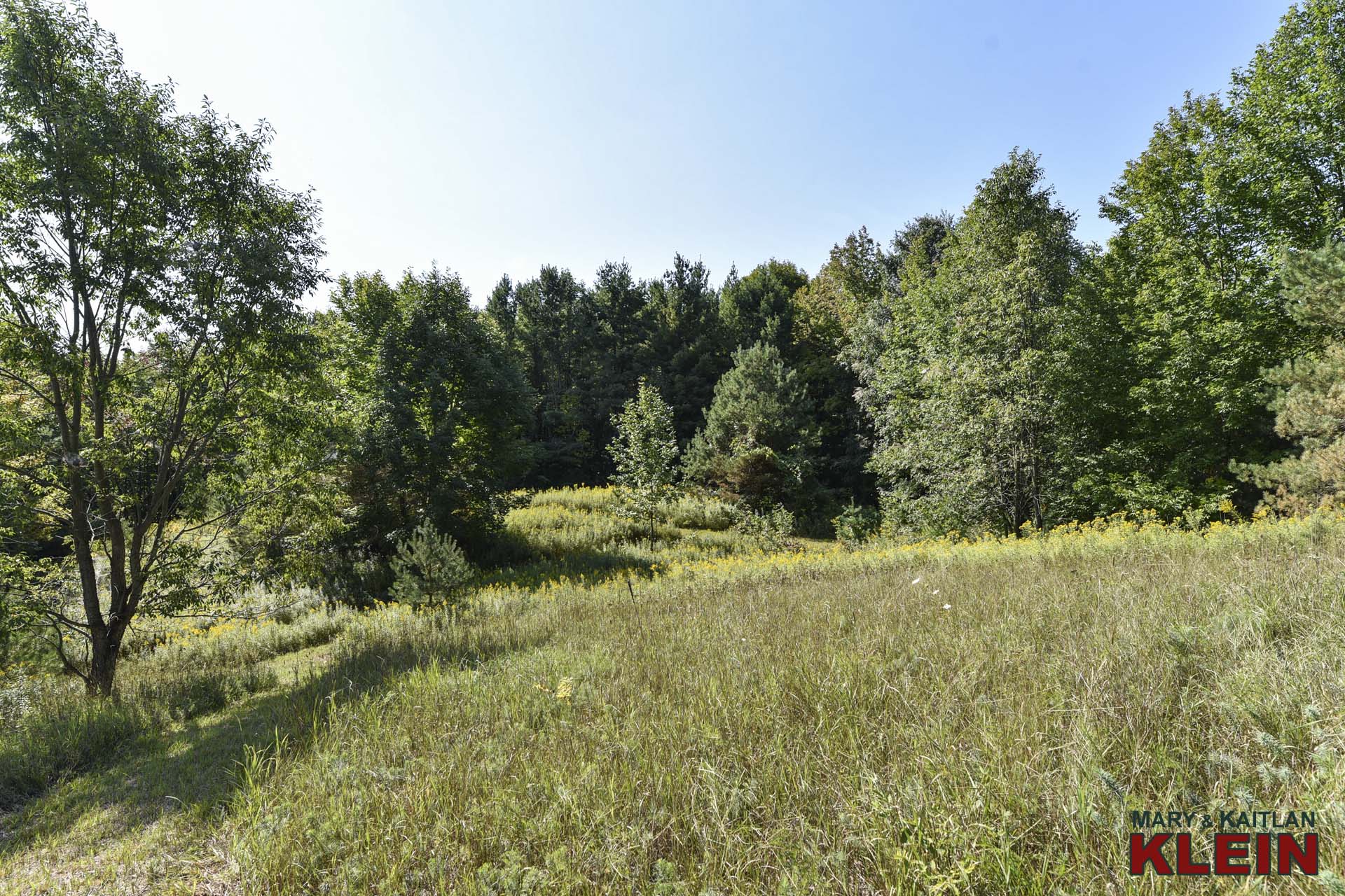 Country views, mulmur, ontario, klein