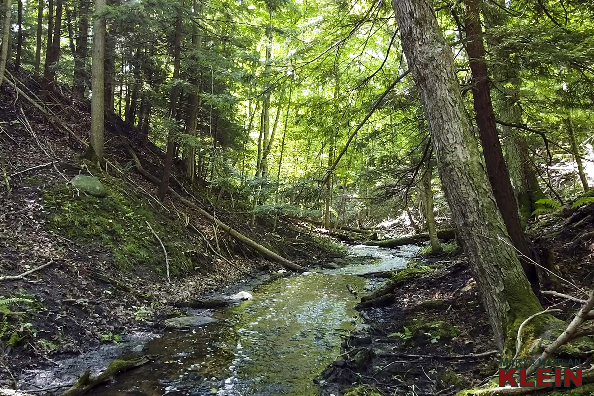 Stream, Tributary to the Pine River