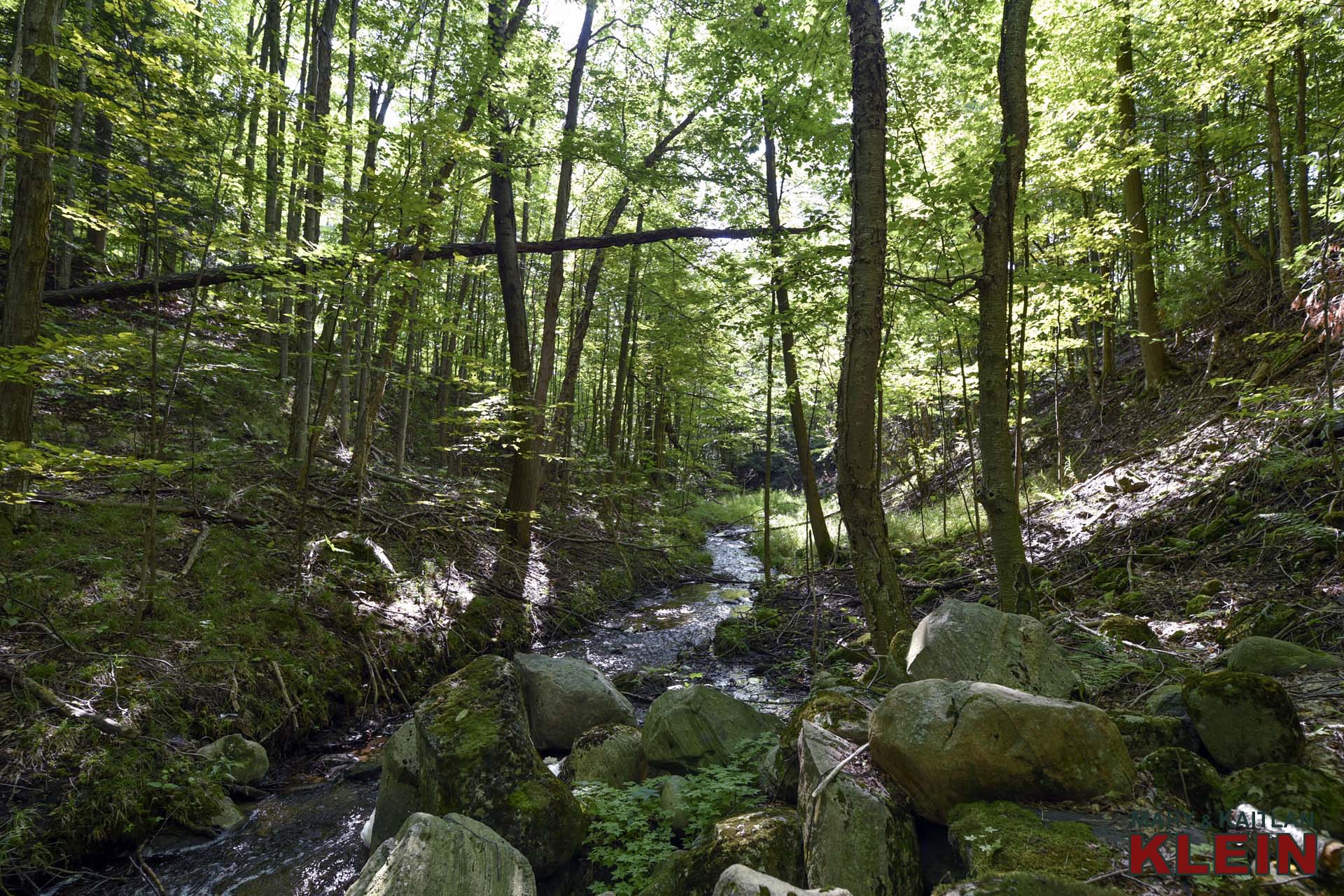 Nature, Mulmur, Stream, Land for sale, Klein