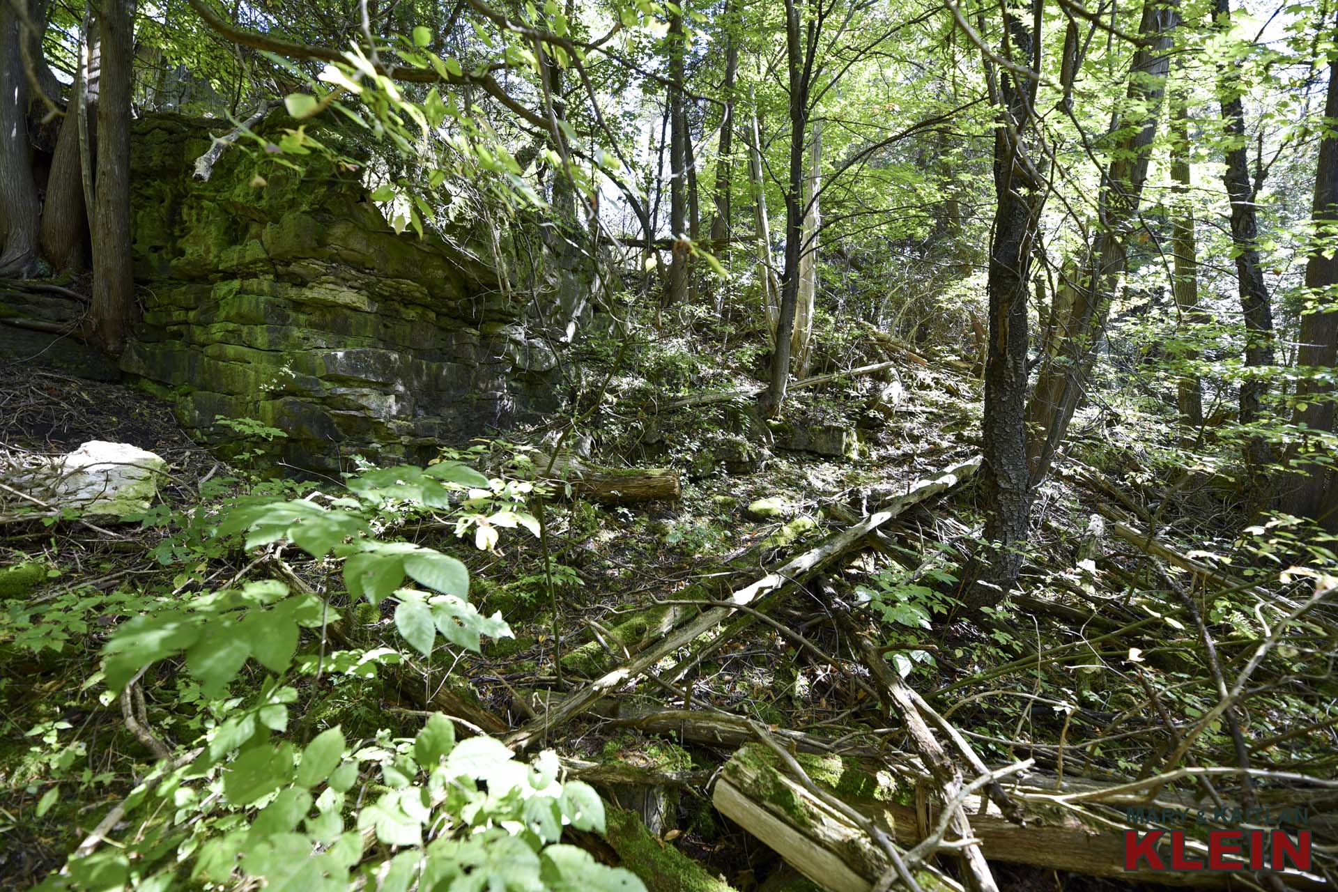 small outcropping of the Niagara Escarpment (dolomite) along its western edge