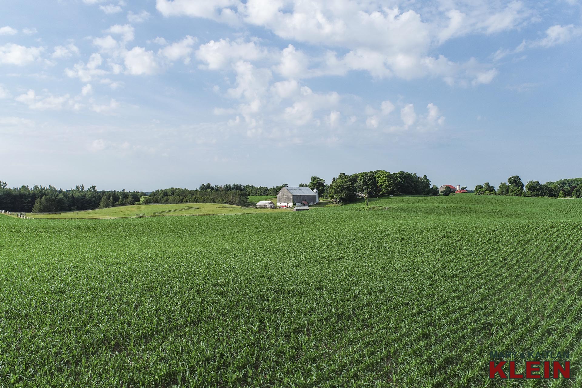 Tenant Farmer, 40 Acres, Shaws Creek Road