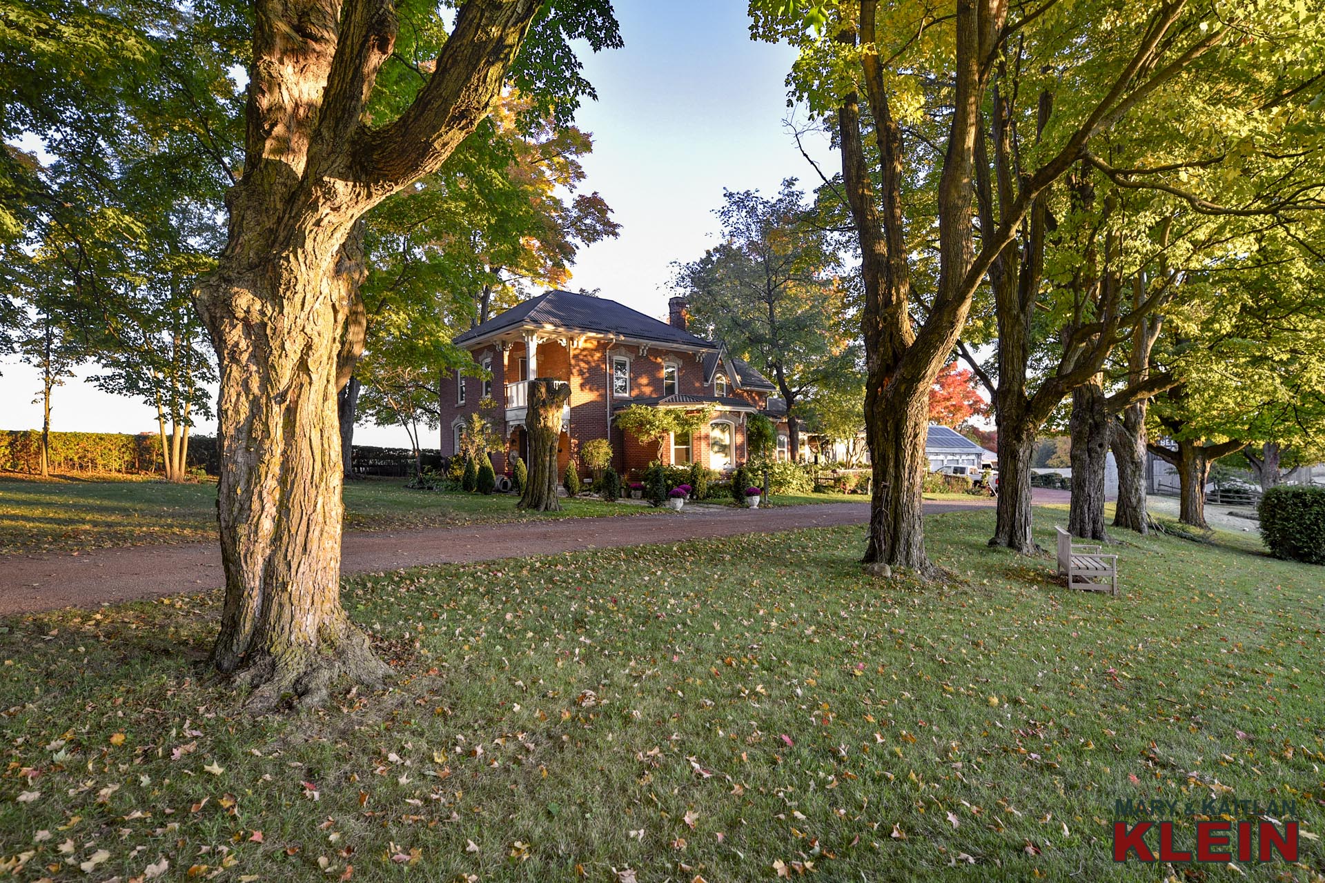 Sunrise, Caledon, Belain Farmstead, Mature sugar maples