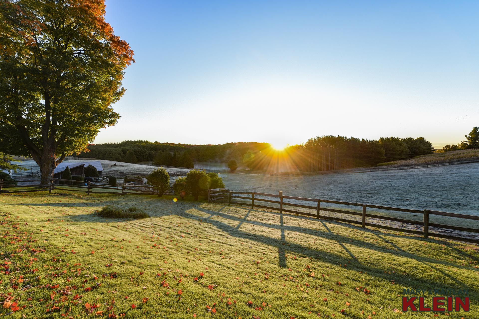 Early morning sunrise at the farm