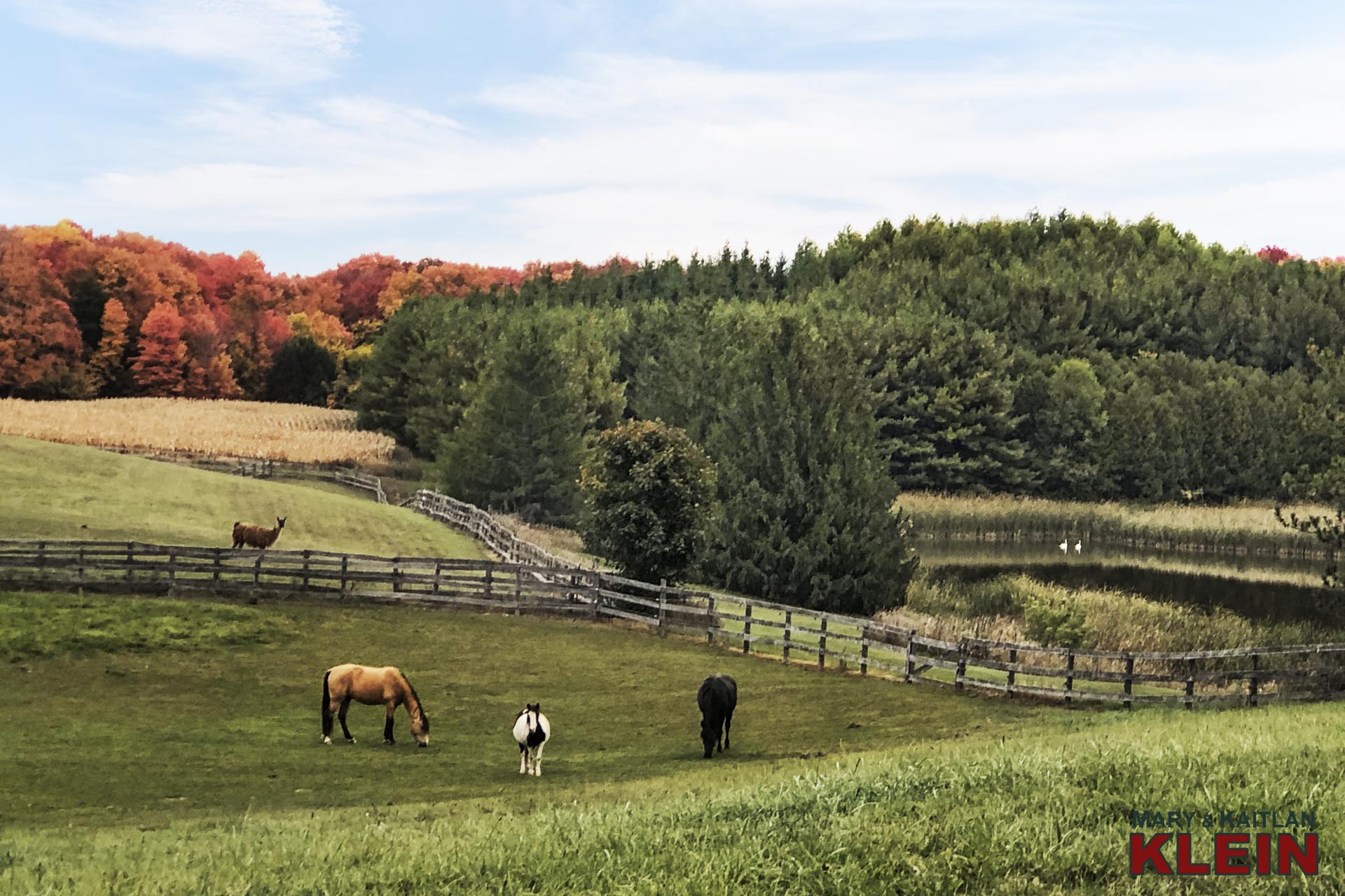 18101 Shaws Creek Road, Caledon, Farm for sale, Pond, Estate